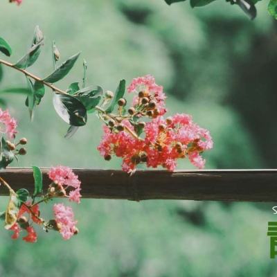 亚虎娱乐下载手机版