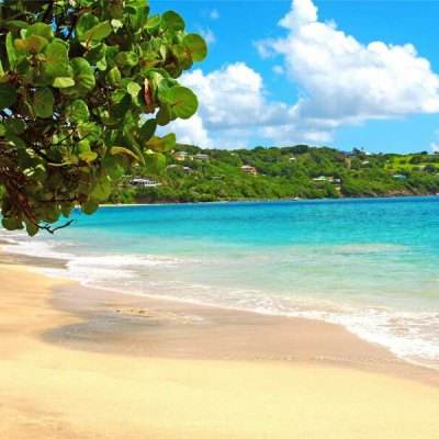 米博体育官方网站入口下载