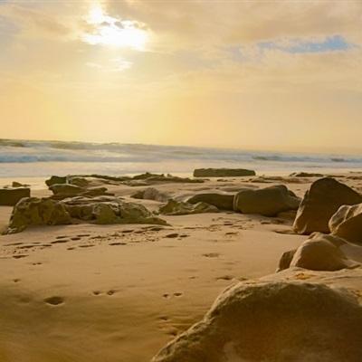 kaiyun体育网页登陆入口截图