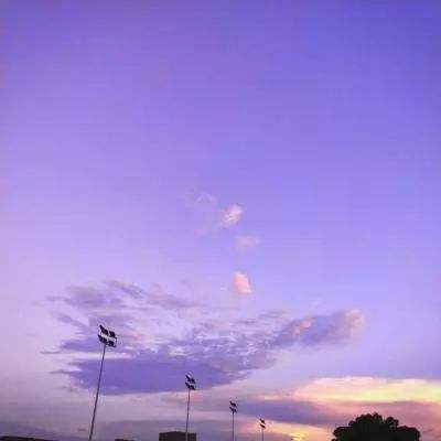 双赢彩票app下载